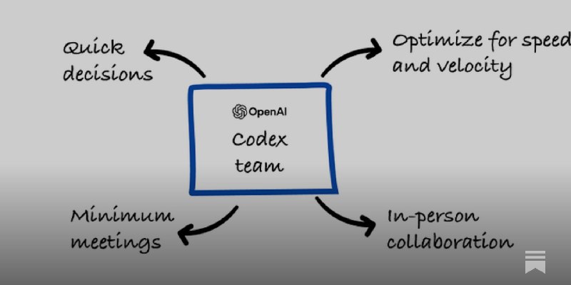 How OpenAI's Codex Team Works and Leverages AI